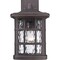 Quoizel Stonington Outdoor Wall Lantern SNN8409PN - alternate 4